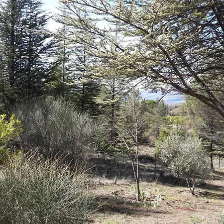 La Lurette, Et Saint-Etienne-les-Orgues